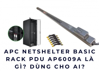 APC NetShelter Basic Rack PDU AP6009A là gì? Dùng cho ai?