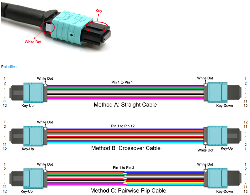 Dây nhảy quang MTP MPO Trunk Cables